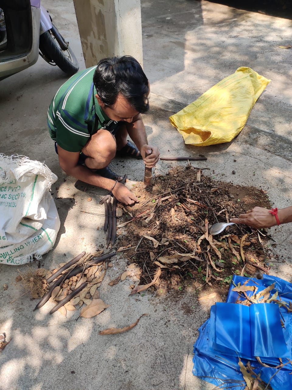 processed-3420a60f-5c3a-49cb-949c-8bedf1e899b2_P0ZCPdYx