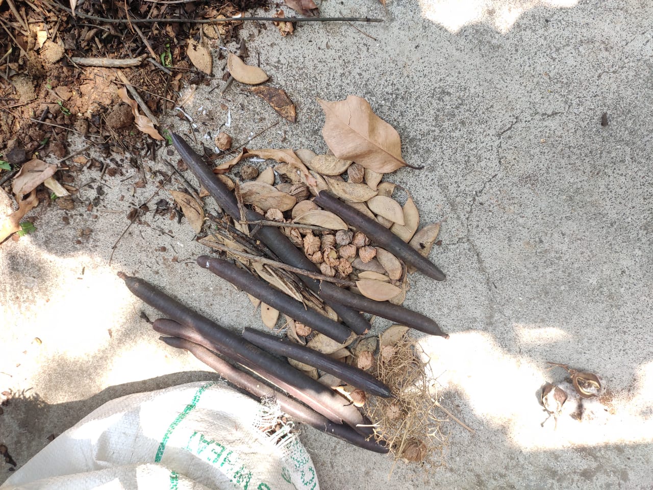 processed-c10aac0f-e1a4-419e-aa8b-6cd99380e803_K4cdkXAf