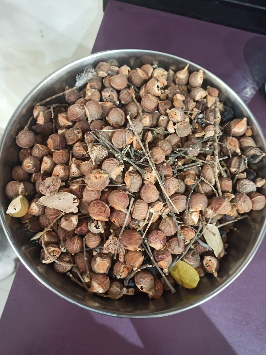 processed-c4e37568-a7e3-4020-9a1a-29e79e752878_fZRqaY3M